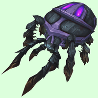 Black Scarab w/ Magenta Spots