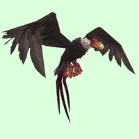 Black Vulture