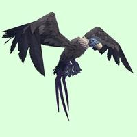 Blue-Grey Vulture