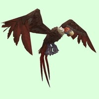 Brown Vulture