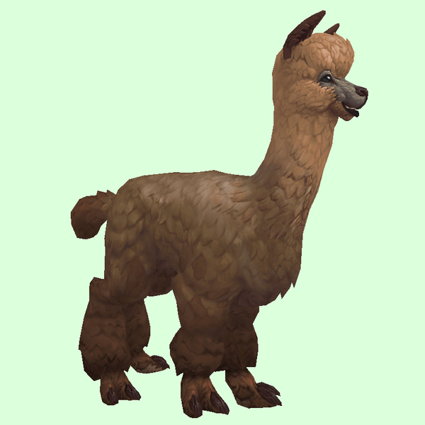 Brown Alpaca