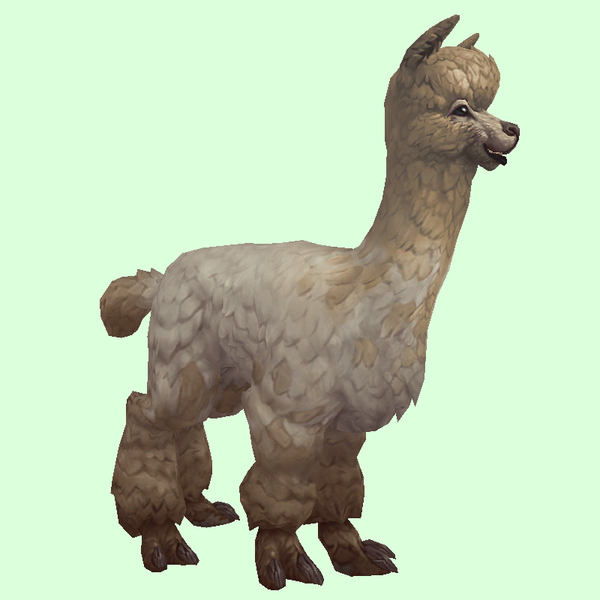 Beige Alpaca