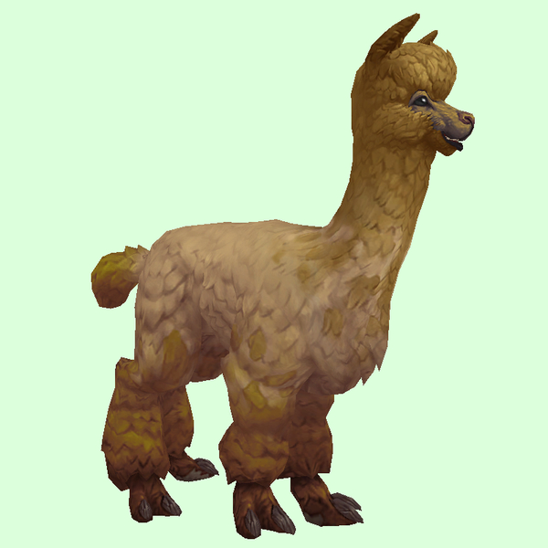 Yellow Alpaca