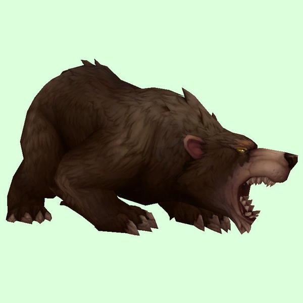 Dark Brown Bear