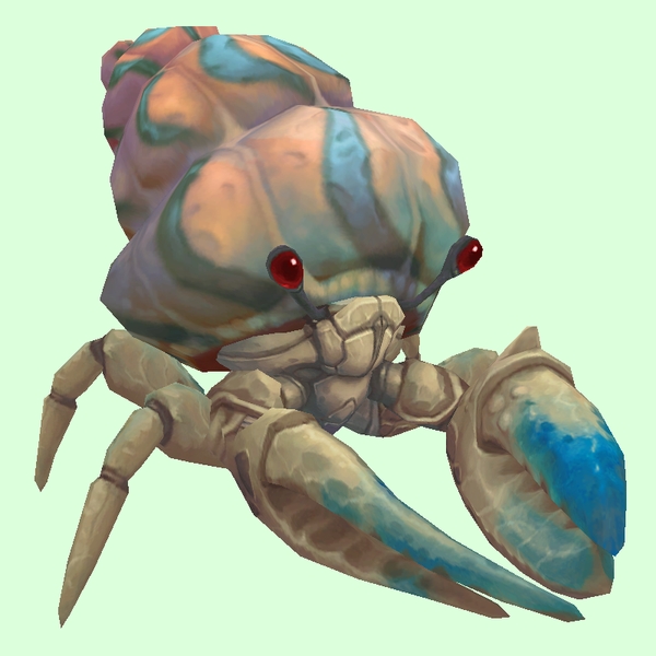 Blue & White Hermit Crab w/ Pale Orange & Blue Shell