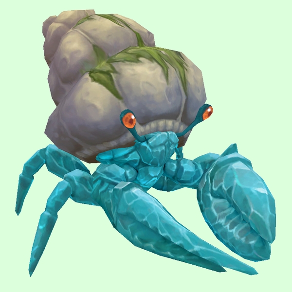 Diamond Hermit Crab w/ Algal Shell