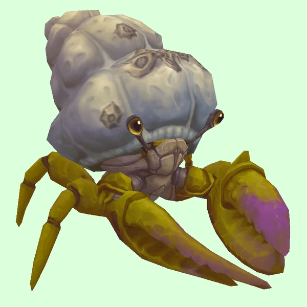 Green & Purple Hermit Crab w/ Barnacled Shell