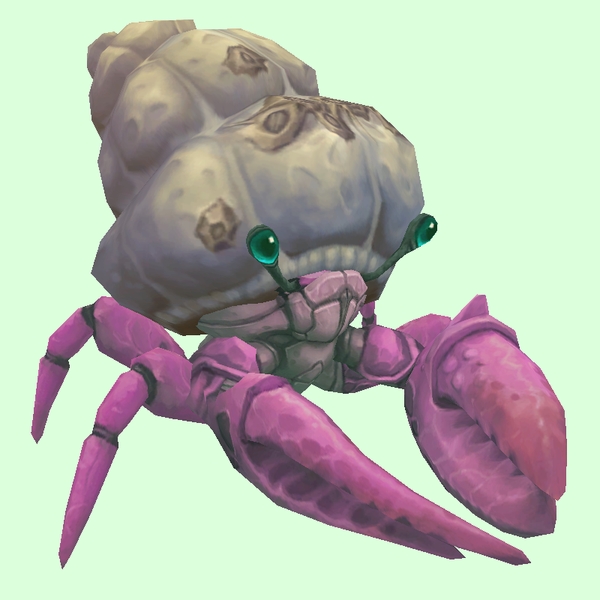 Pink Hermit Crab w/ Barnacled Shell