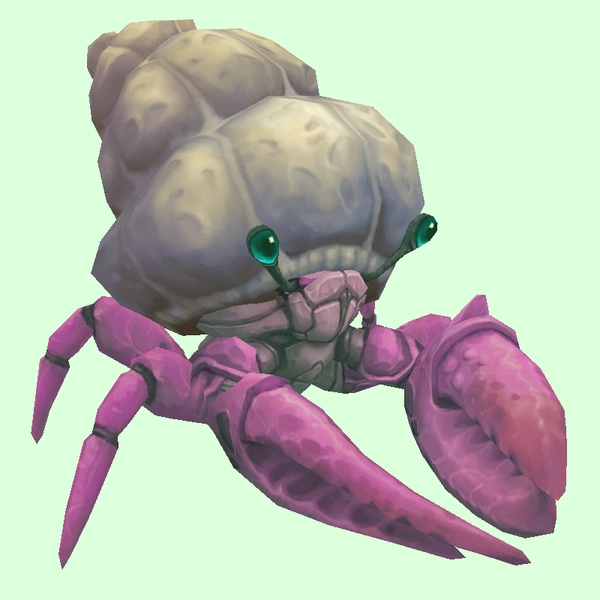 Pink Hermit Crab w/ Plain Shell