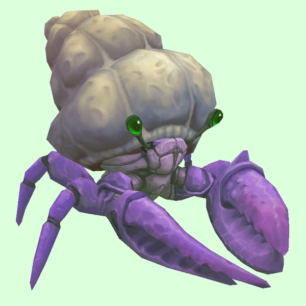 Purple Hermit Crab w/ Plain Shell