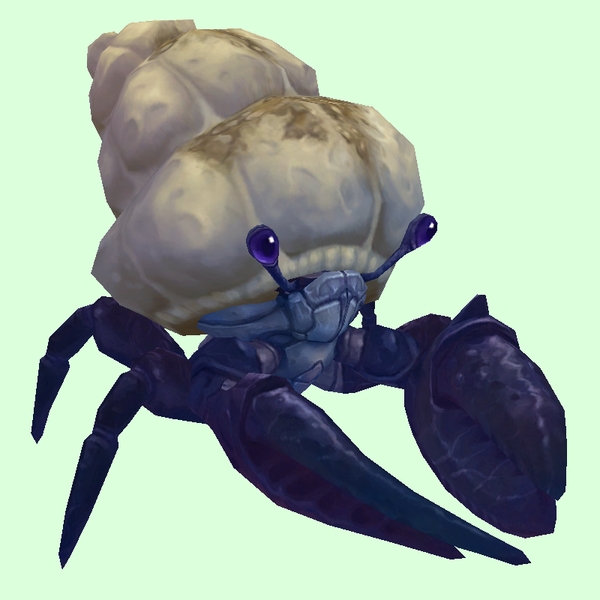 Indigo Hermit Crab w/ Sandy Shell