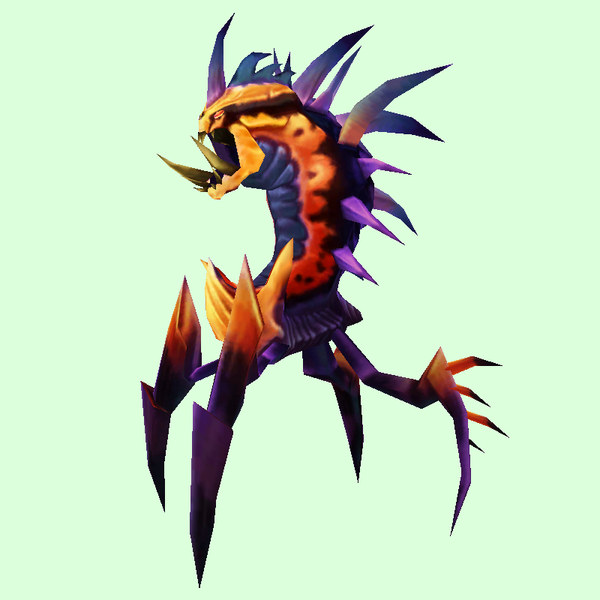 Orange & Indigo Dire Ravager