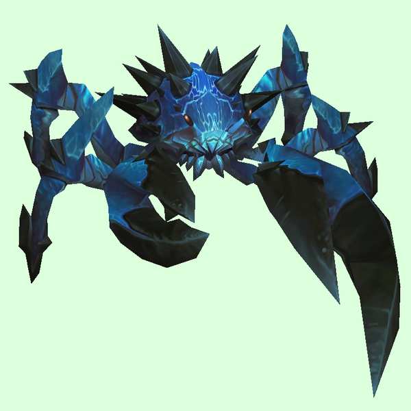 Dark Blue Spiked Crab