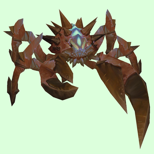 Russet Spiked Crab w/ Blue Markings