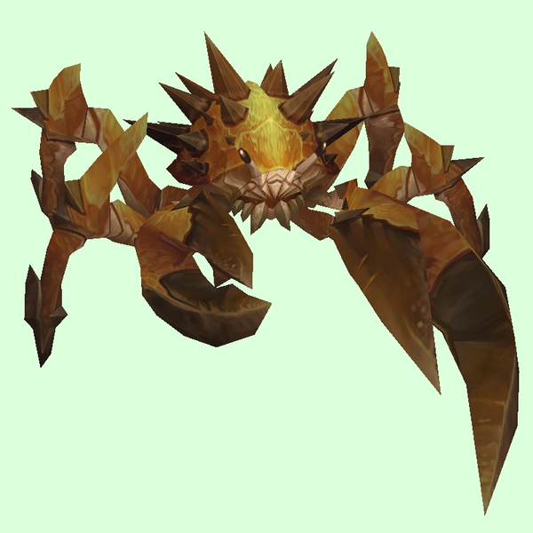 Gold-Tinged Dark Orange Spiked Crab