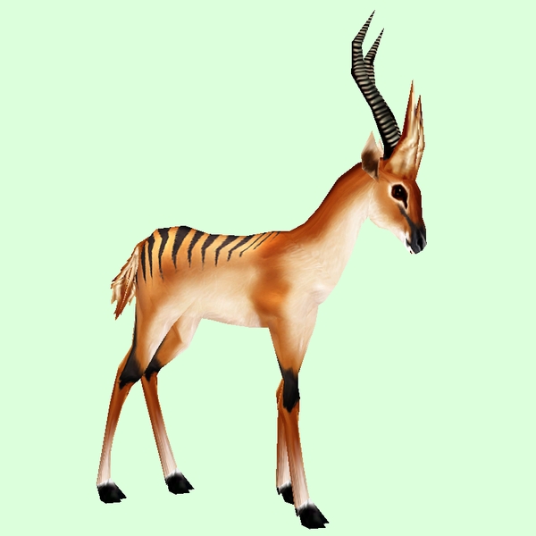 Striped Tan Gazelle