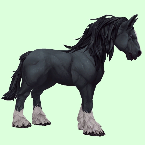 Black Horse w/ White Socks & Long Mane