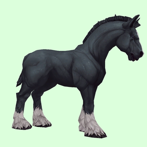 Black Horse w/ White Socks & Short Mane/Tail