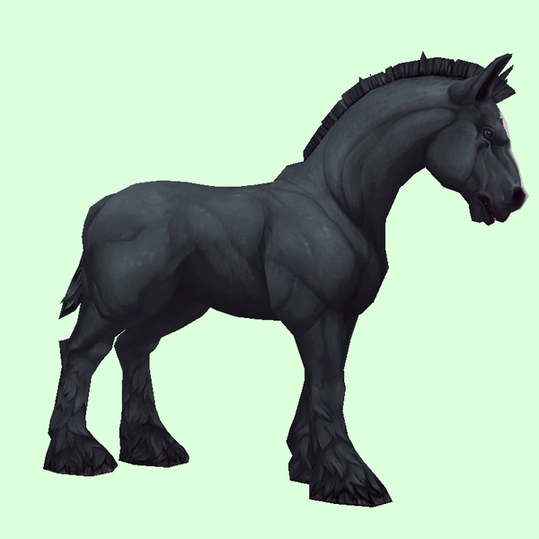 Black Horse w/ Short Mane/Tail