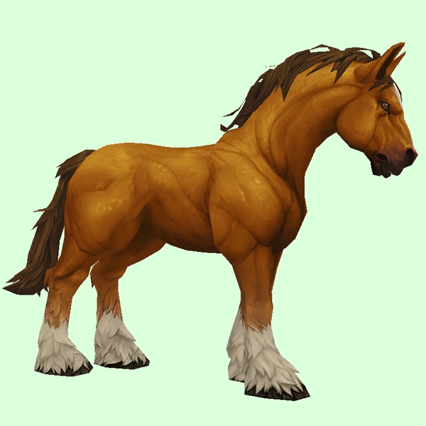 Light Chestnut Horse w/ White Socks