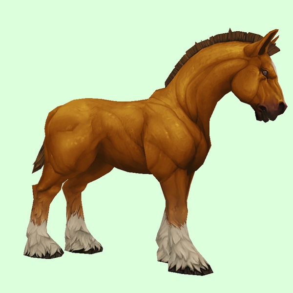 Light Chestnut Horse w/ White Socks & Short Mane/Tail