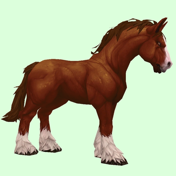 Chestnut Horse