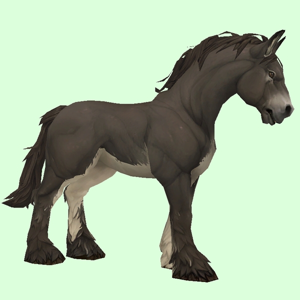 Dark Brown Horse w/ White Belly