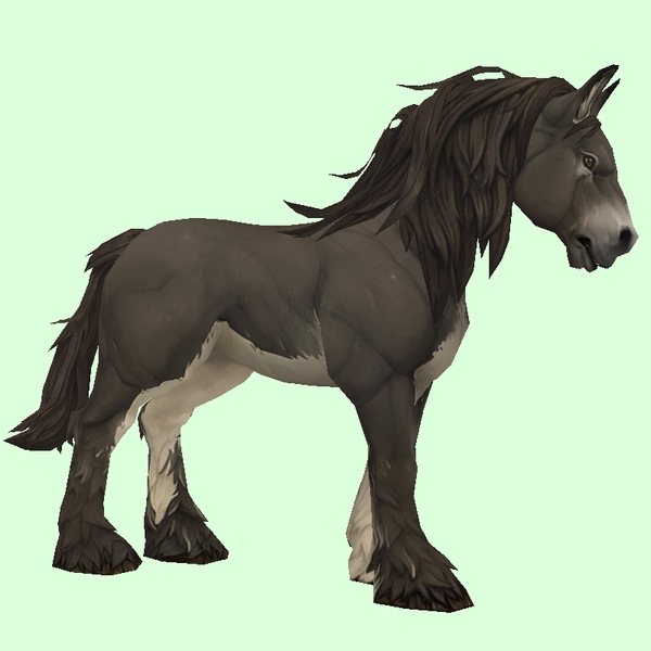 Dark Brown Horse w/ White Belly & Long Mane