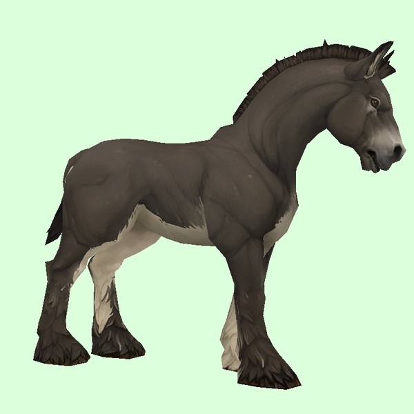 Dark Brown Horse w/ White Belly & Short Mane/Tail