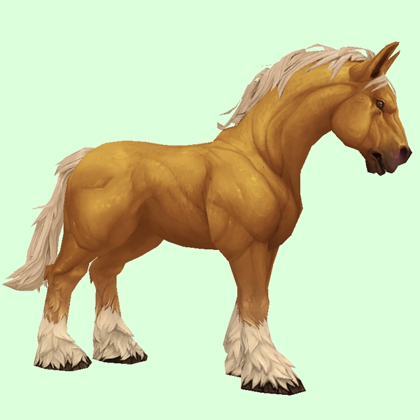 Palomino Horse