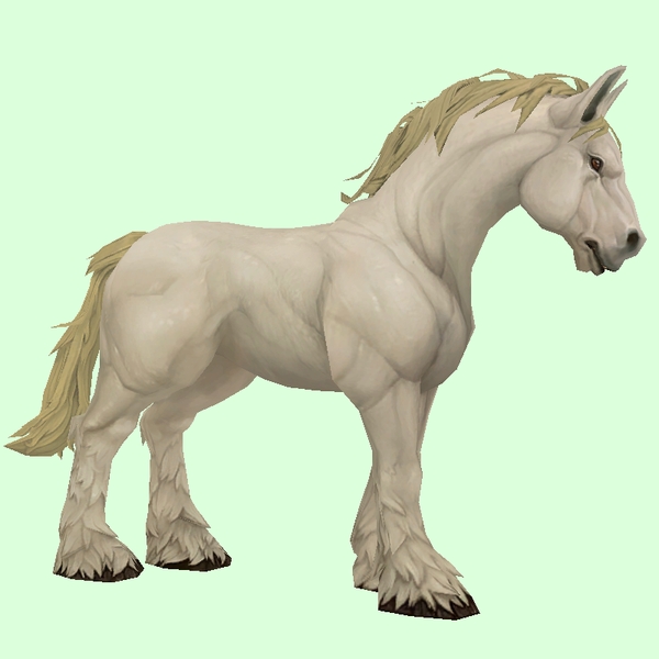 Light Palomino Horse