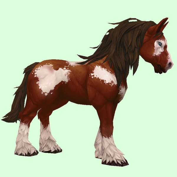 Chestnut Overo Horse w/ Long Mane