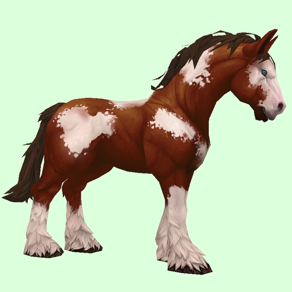 Chestnut Overo Horse w/ Stockings