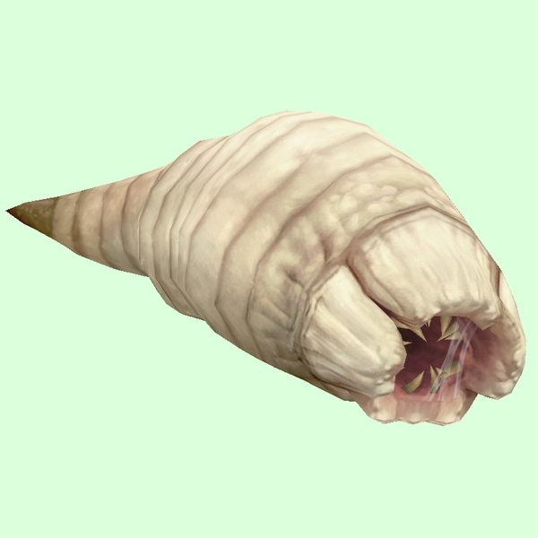 White Grub