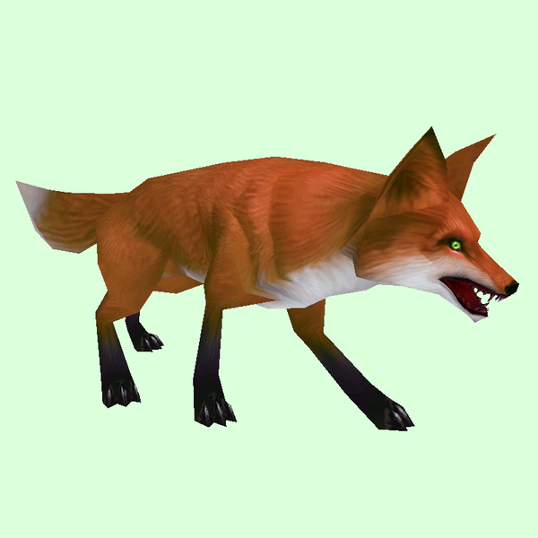 Red Fox