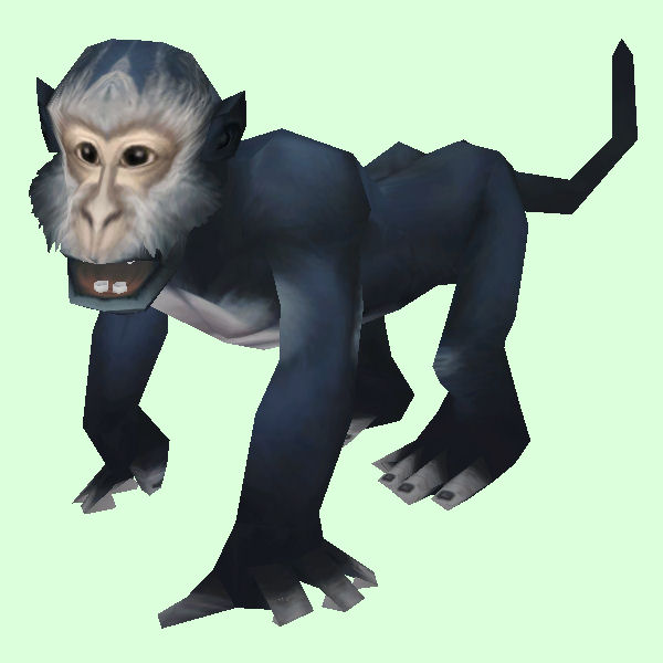 Dark Grey Monkey