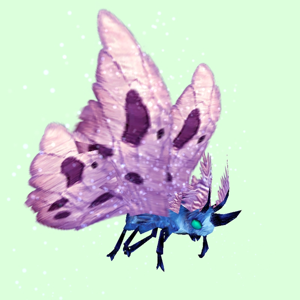 Cyan-Blue Moth w/ Pink Wings