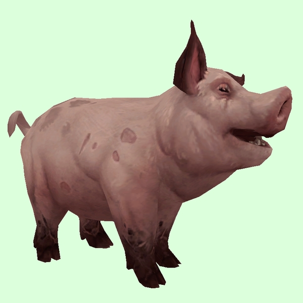 Dark Pink Pig