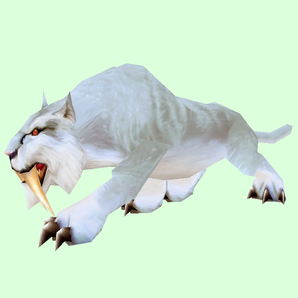 Albino Saber Cat