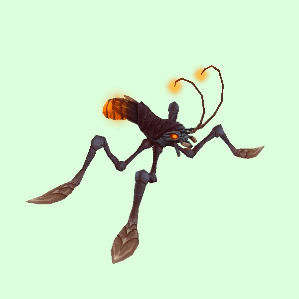 Plated Orange Water Strider