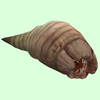 Brown Grub